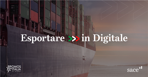 Esportare in Digitale: ciclo di webinar